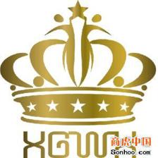 匠心铸声影，品质传文化——XX公司音像制品制作服务简介